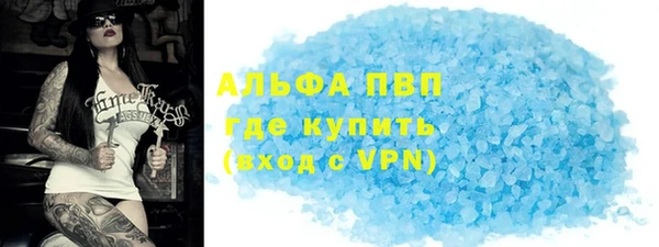 прущие грибы Нефтегорск