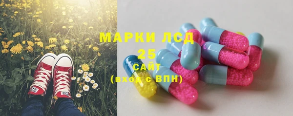 прущие грибы Нефтегорск