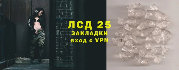 прущие грибы Надым