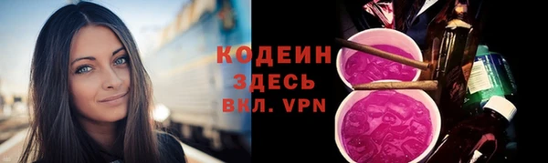 прущие грибы Нефтегорск