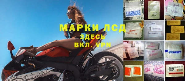 прущие грибы Нефтегорск