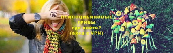 эйфоретик Нефтекумск