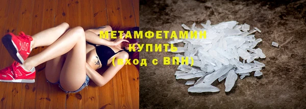 прущие грибы Нефтегорск