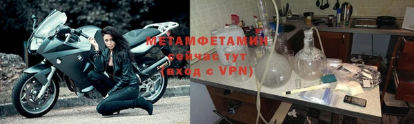 прущие грибы Нефтегорск