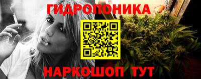 СК Краснодар