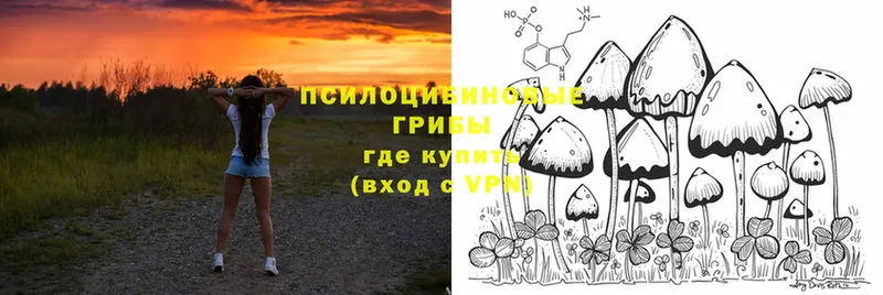 Псилоцибиновые грибы Magic Shrooms  blacksprut ТОР  Октябрьский 