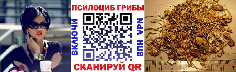 где купить   Октябрьский  Псилоцибиновые грибы MAGIC MUSHROOMS 