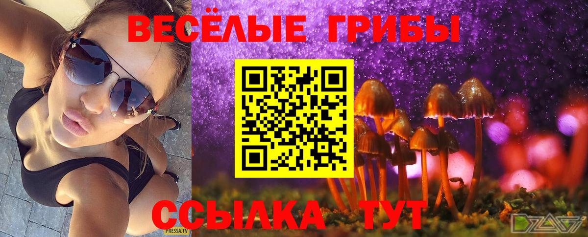 Галлюциногенные грибы Psilocybine cubensis  Вход с VPN  Псилоцибиновые грибы мухоморы  наркошоп  Октябрьский 