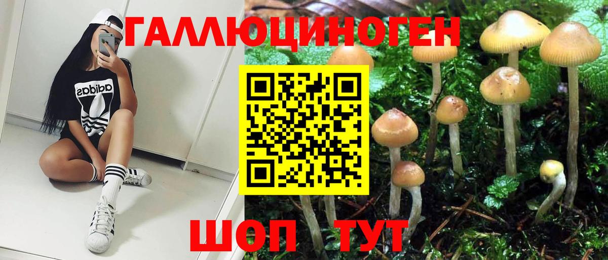 Псилоцибиновые грибы Magic Shrooms  Октябрьский  Псилоцибиновые грибы Magic Shrooms 